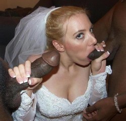 hotcuckoldtoys:  We just got married… is this wrong? 