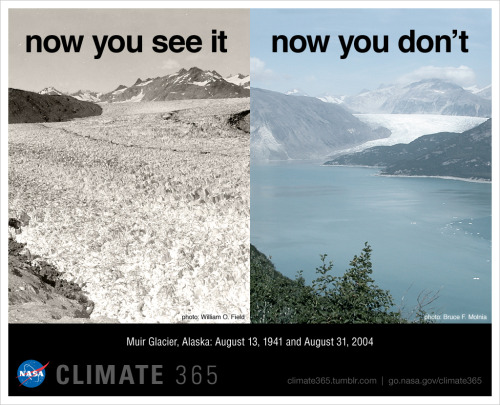 There’s nothing quite like historical photos of glaciers to show what a dynamic planet we live on. Alaska’s Muir Glacier, like many Alaskan glaciers, has retreated and thinned dramatically since the 19th century.
This particular pair of images shows...