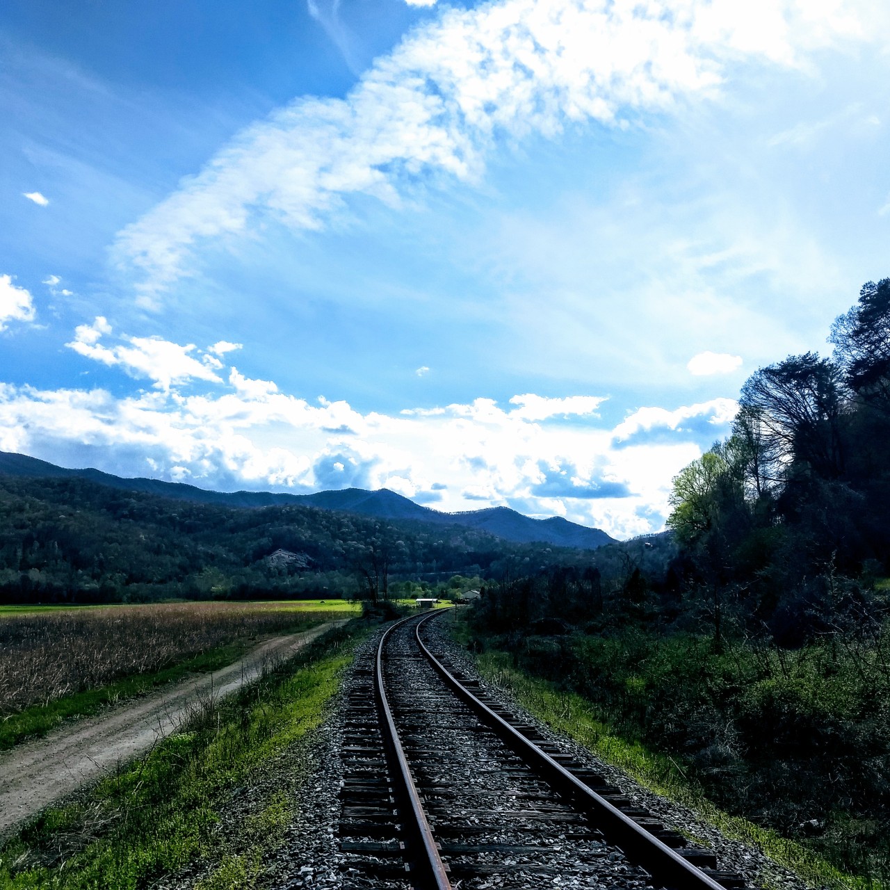 wncrails:Beautiful spring day on the Murphy Branch. At Kituwah near Bryson City,