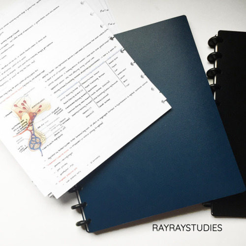 rayraystudies:  Step 1 for getting myself ready for the winter holidays? Clean out all old notebooks