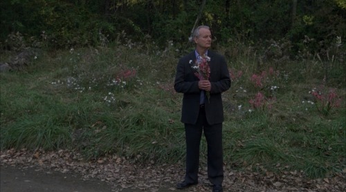 Broken Flowers (2005) dir. Jim Jarmusch