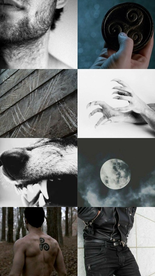 Anonymous Requested A Derek Hale Aesthetic 