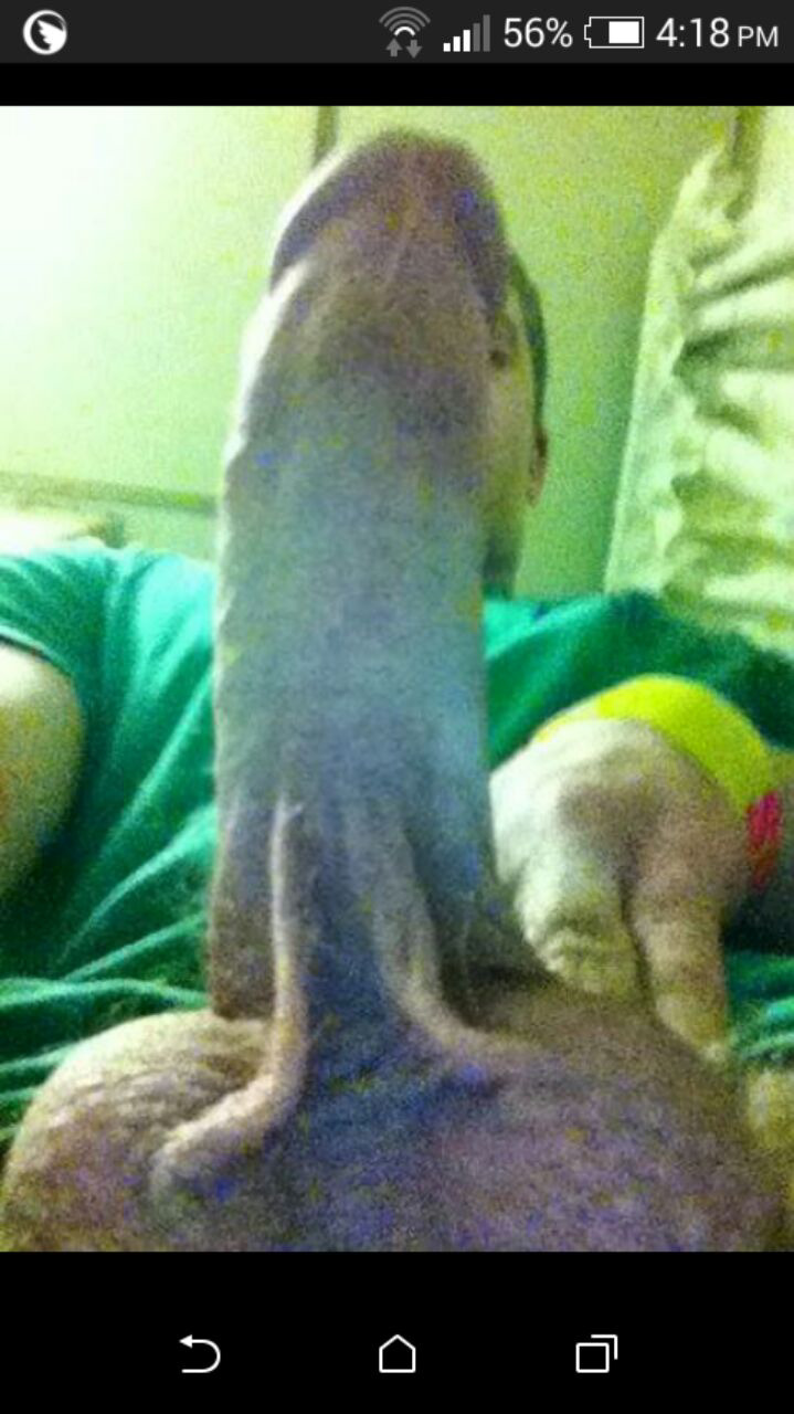 postmypecker:  Here is a sumbission from PostMyPecker follower, Dee.  He’s 19,