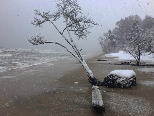 icogeum:I could walk down this beach forever