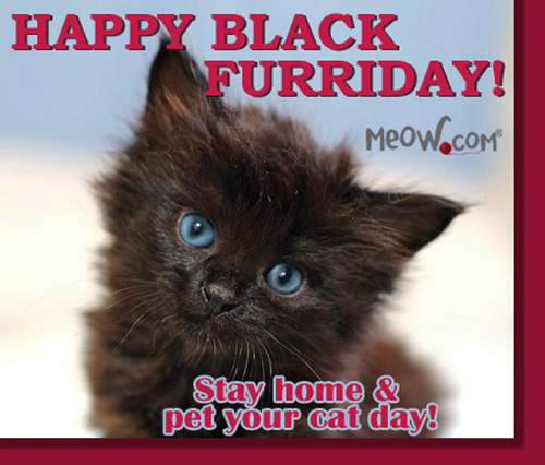 Happy Black Furiday, Cat peeps!