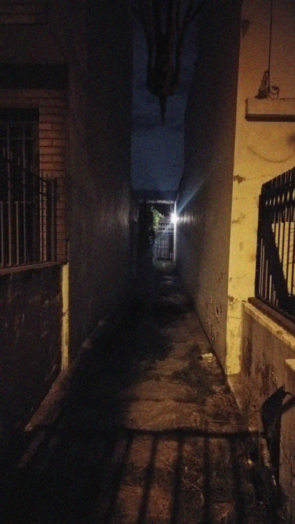 cathugging:slimyswampghost:Lost in a new city at night, you could have sworn a main road was just do