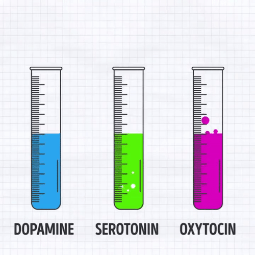 La química de los sentimientos.