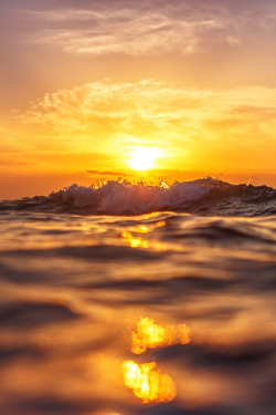 heaven-ly-mind:  Sunrise and shining waves in ocean