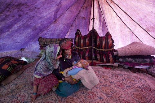 A Kashmiri Bakarwal nomad woman plays with her son as her daughter joins her inside a temporary camp