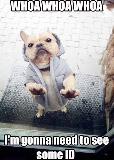 laughingstation:  More FUNNY POST here!