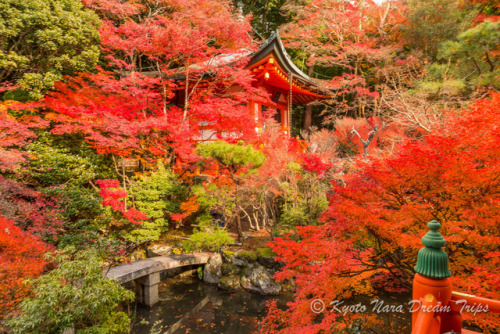 kyotodreamtrips: Bishamon-dō: Autumn Hotspot in Kyoto City, Japan.More autumn colors at Bishamon-dō 