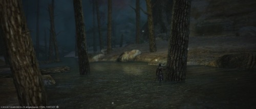 a-drg-reborn:Daughter of the Twelveswoodcalled away to roamunder distant branchesso very far from ho