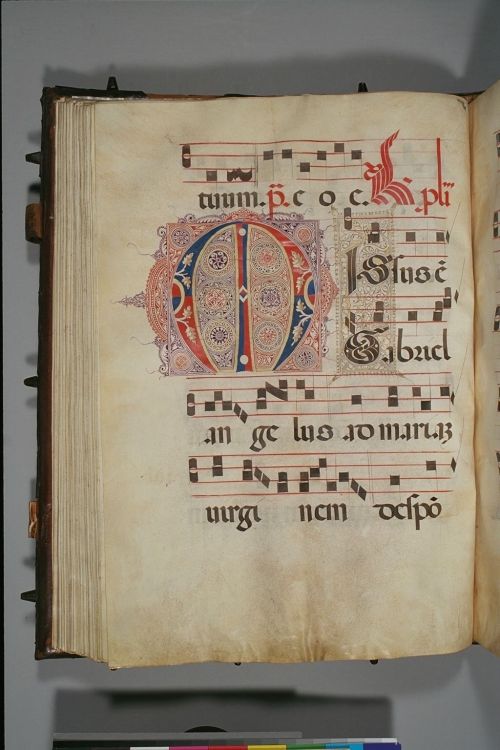 cantusilluminatus: Part 2 of 2. 15th century Italian antiphonal in diced russia leather, s. XVIII (?