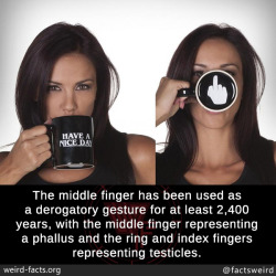 mindblowingfactz:  The middle finger has been used as a derogatory gesture for at least 2,400 years, with the middle finger representing a phallus and the ring and index fingers representing testicles.