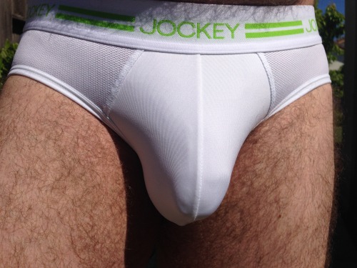 Porn pupsunderwearpics:  Pup in Jockey Sport Briefs photos