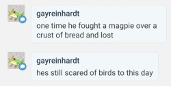 syyd:  junkrat is afraid of birds and cant