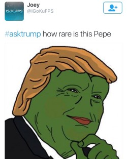 fluffybunnykitten:  This is the Donald Trump Pepe, if you don’t reblog this Pepe Donald trump will come to your house in the middle of the night and yell misogynistic and racist slurs at you while you’re sleeping. 