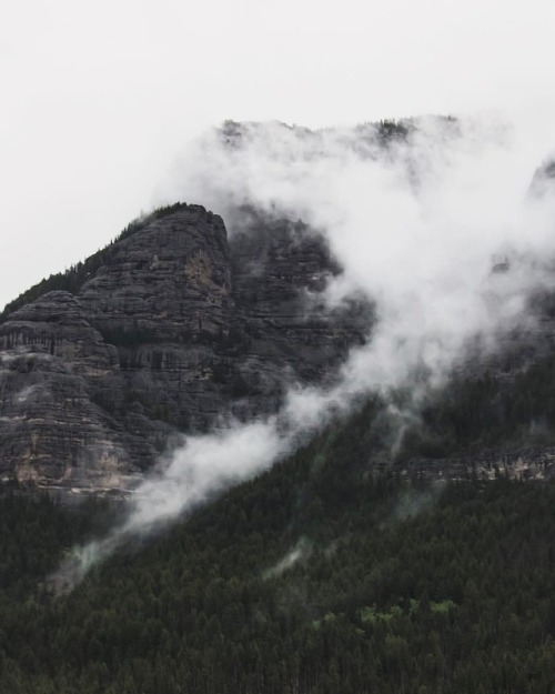 Moody Yellowstone morning. #ynpforever #yellowstonepledge #findyourpark (at Yellowstone National Par