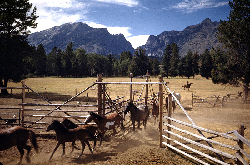 yallmeansall:Jackson Hole, Wyoming 1948