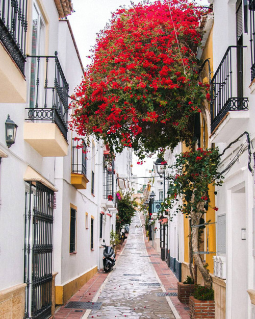 coiour-my-world:Marbella Old Town, Spain || delafuentecam