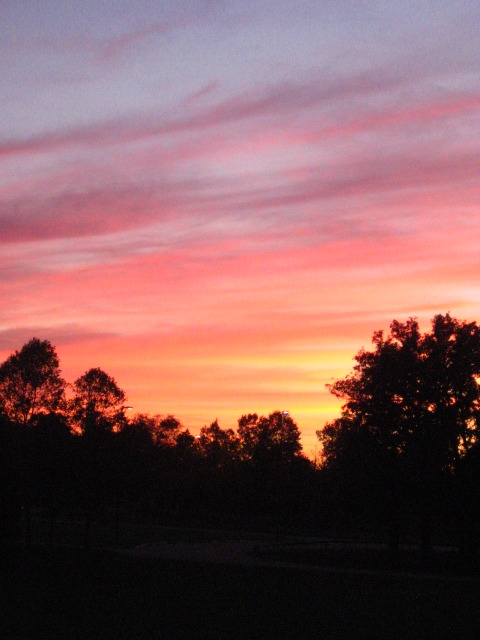 peace-and-awe:  sunset my original photography- please do not remove credit 