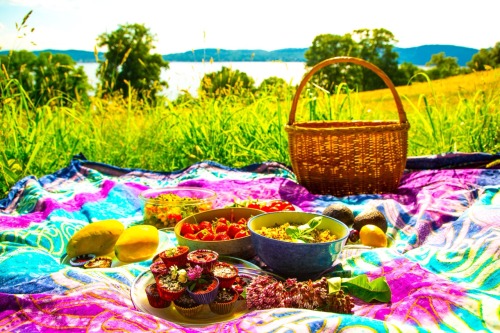 Olenko’s Vegan Summer Solstice Picnic on Hudson River On this beautiful  summer solstice 