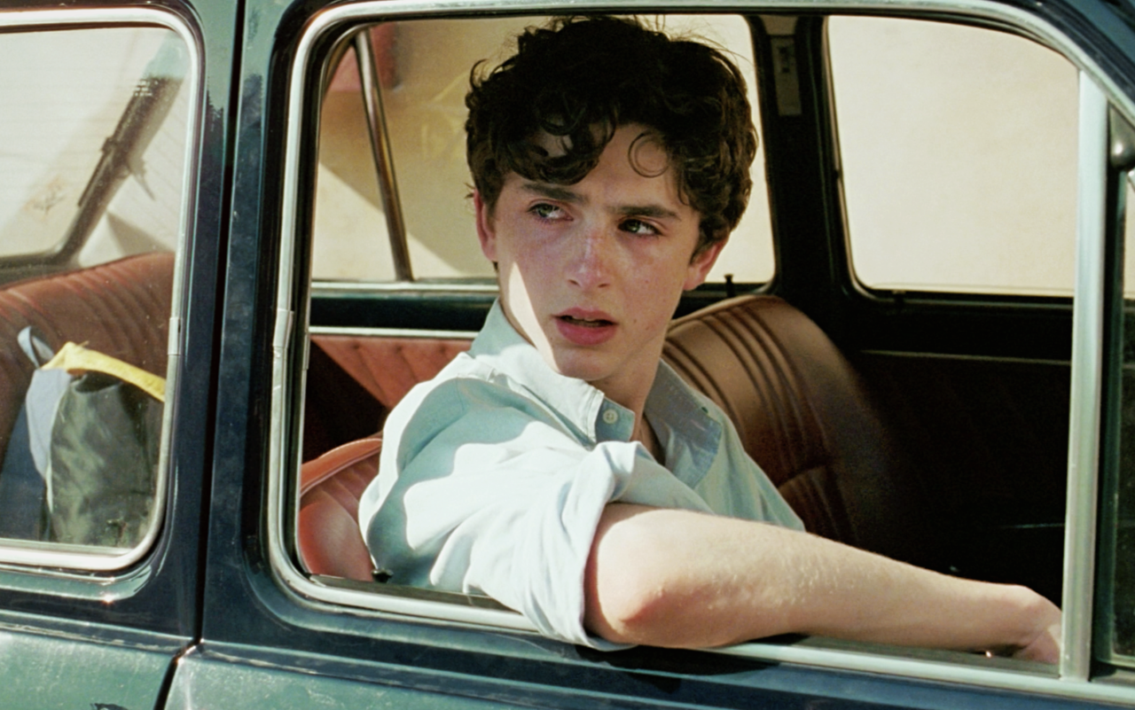 genterie: Timothée Chalamet in Call Me By Your Name (2017)  