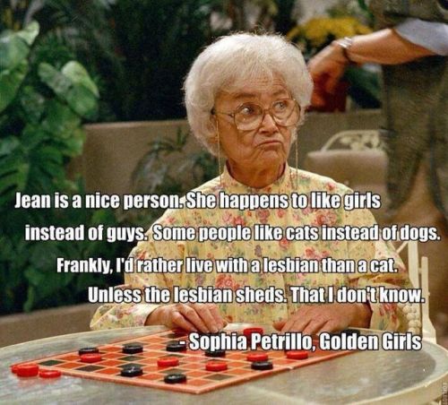 darkravn:transdankovsky: gholateg:guljerry:I love The Golden Girls. Ya’ll don’t have any idea how fu