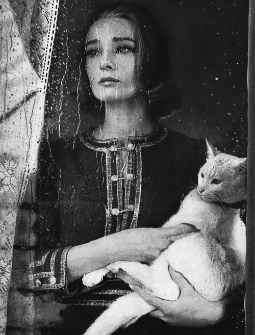  Audrey Hepburn for Harper’s Bazaar, 1959Photographed by Richard Avedon