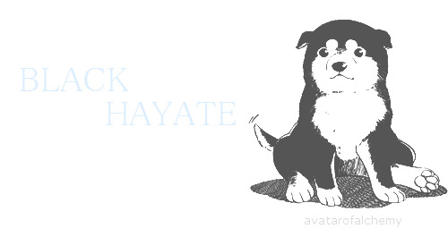 avatarofalchemy:   Riza Hawkeye + Black Hayate  