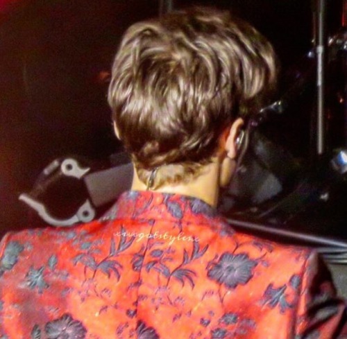 harrysontour:Current mood: wanting to play with Harry’s hair :(