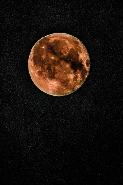 plasmatics-life:  Blood moon and stars ~