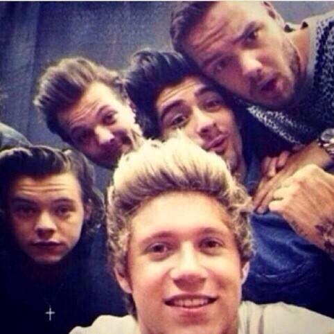 lessgemmastyles:  Thanks Niall for selfies