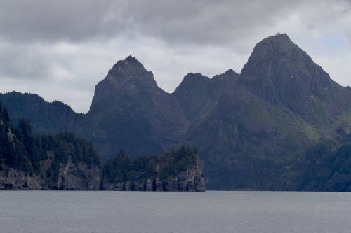 highways-are-liminal-spaces:Aialik Bay, Kenai Fjords National Park, AlaskaTaken June 2020