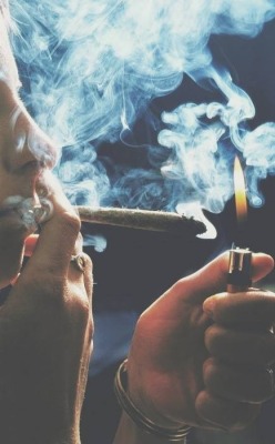 obeytheprophecy:  dopeyourlife:  light it