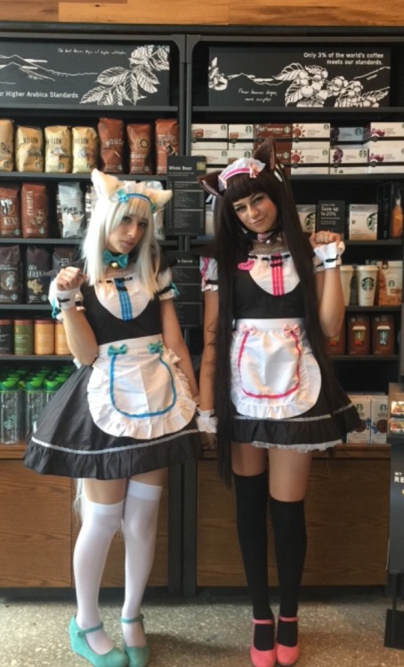 harern:  cute catgirl pics in starbucks