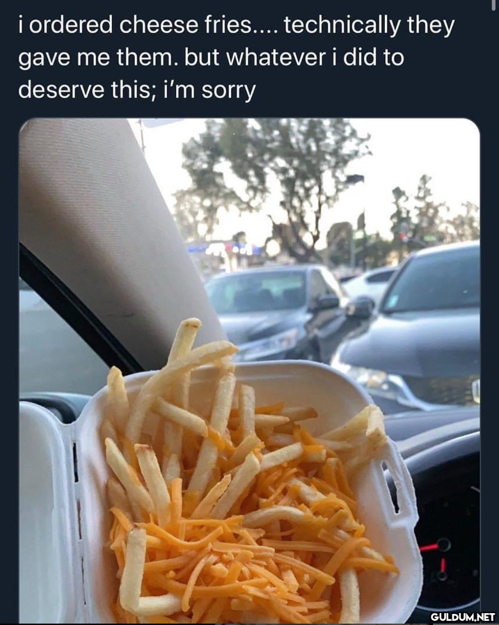 i ordered cheese fries.......