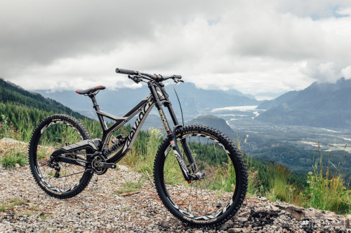 aces5050:(via Devinci Wilson Carbon SL - Review - Pinkbike)