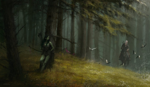 nenad8: The Witcher-inspired paintings by adult photos