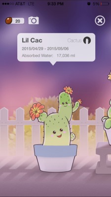 tortillas:  why my cactus gotta look like