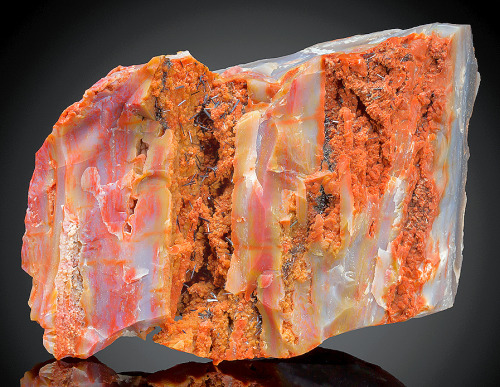 Very rare Agatized Petrified Wood with elongated Groutite crystals from the Black Mesa near Kayenta,