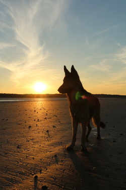 kayandkoda:  beach sunset in Ireland. 16.06.14