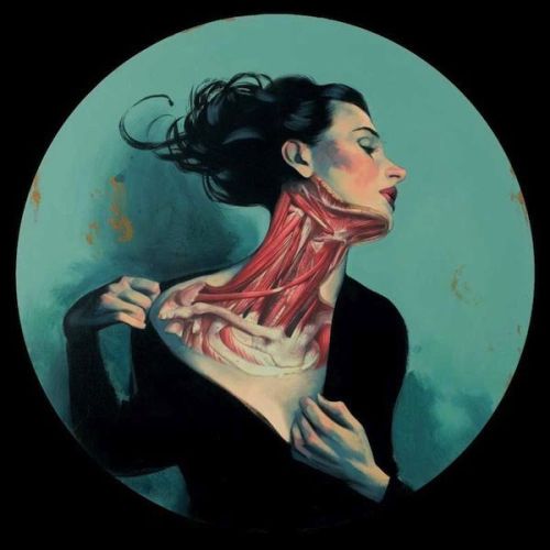 Fernando Vincente anatomical art.