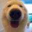 sleepdotiso