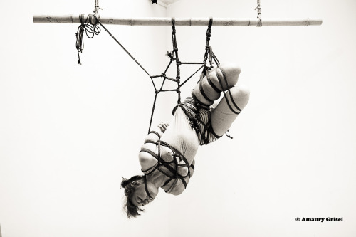 amaury-grisel-shibari: practicing with Melle F. Kinbaku : Amaury Grisel Photography : Guillaume Godard. studio : Place des cordes 