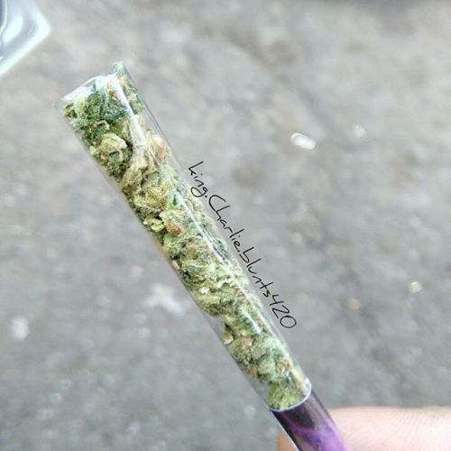 thebluntmovement: indica