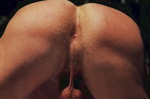 un bon coup de bareback … 