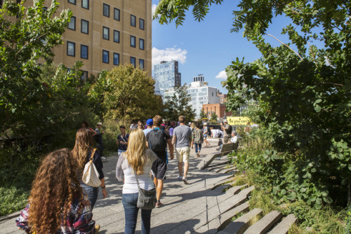 The High Line is one of New York’s most popular destinations. As a park built atop an abandoned elev