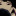 wedidit911:  idk which one this is i just chose it from my saved vids lol