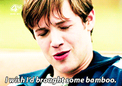 mmfd💛